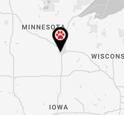 Modern map marker pinpointing Minneapolis, Minnesota, highlighting local web design, digital marketing, and SEO services by One Dog Solutions.