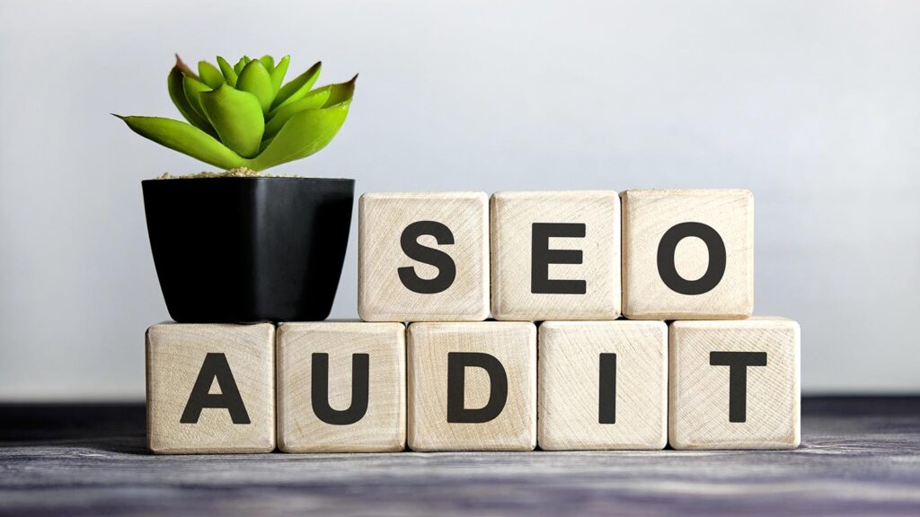 Seo audit link - concept on a Wooden background, cubes and flower in a pot. Wood blocks spelling SEO audit with plant