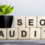 Wood blocks spelling SEO audit with plant